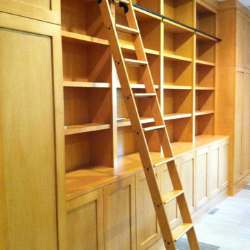 Library Cabinets with Rolling Library Ladder