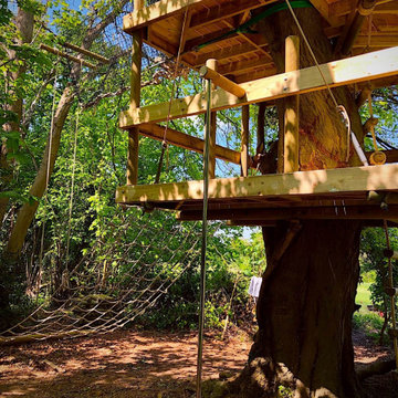 exciting treehouse aerial projec