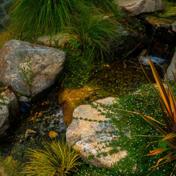 Boulder Creek Pool