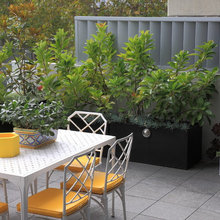 Balcony Garden