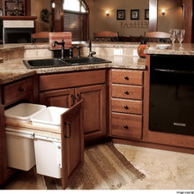 raised dishwasher