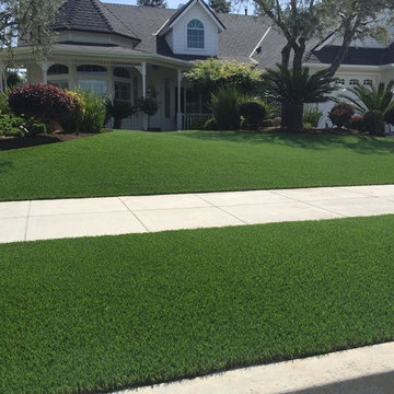 Traditional Front Yard in Central California
