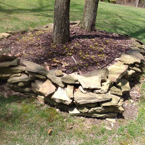 Landscape ideas using ground cover