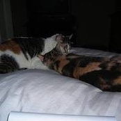 Martha Hine's photo