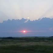 Foto von Susan Penner