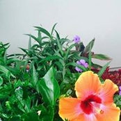Trina Bloomfield's photo
