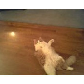 Jenny Vetter's photo