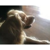 Foto de ashley169

