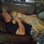 Susan Hansen's photo