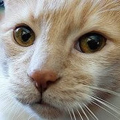 Foto de Teddy Pina