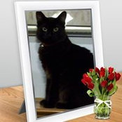 Darcy Crocker's photo