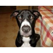 Mike Gleeson's photo
