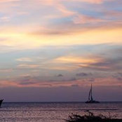 Michael Tauber's photo