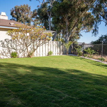 Backyard Sod & Landscape Refresh