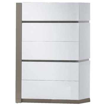 Maklaine 5-Drawer Contemporary Wood Chest in Gloss White/Gray