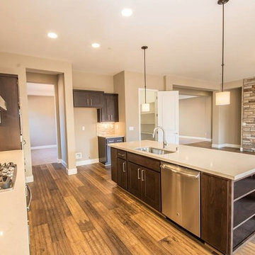 Pocket Home in Sacramento Transitional