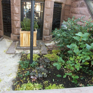 Courtyard patio landscape