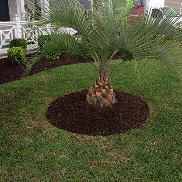 S&E Landscaping & Lawn care