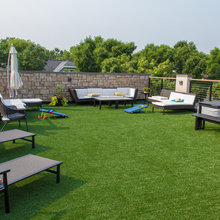 Roof Top