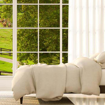 Winndom Mattresses Bed in Box