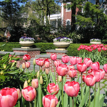 Chestnut Hill
