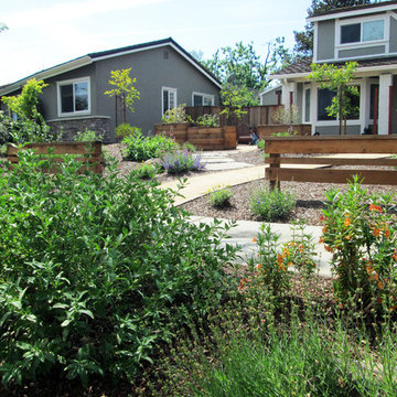 Shank Residence - Front Yard - Almaden, San Jose, California