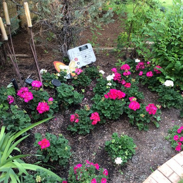 Blooming Projects