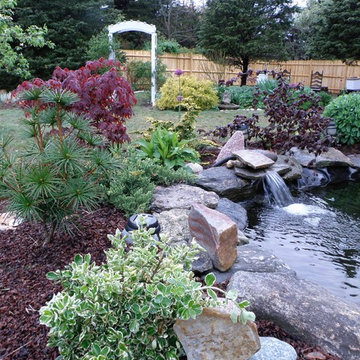 Ponds