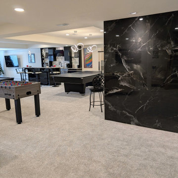 Modern Highlands Ranch Finished Basement by Brothers