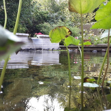 Zierteiche und Wasserbecken