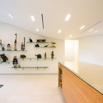 Contemporary "AM Apartment"