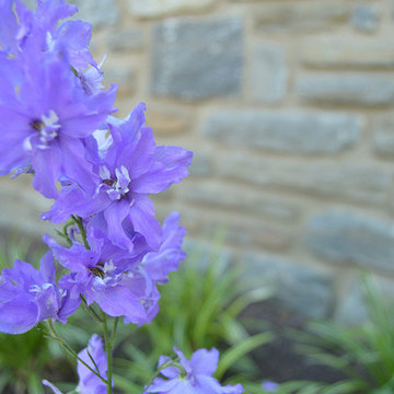 Plantings