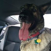 Lisa Wedlock's photo