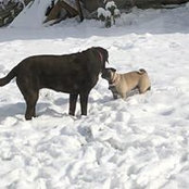 Ron Addie's photo