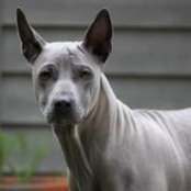 Brittany Church Kittler's photo