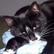 Carolyn Munholland's photo