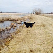 Tanya Bannon Manns's photo