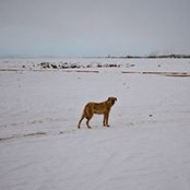 Andres G's photo