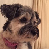 Nikki Killick's photo
