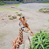 Paul Griffin's photo