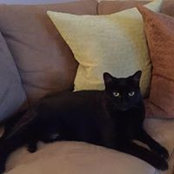 Christine Raynor's photo