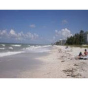 Vanessa Currey's photo