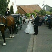 Foto von Amanda Steuer