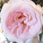 Tamara Comerford's photo