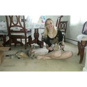 Danielle DiCristino's photo