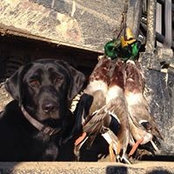 Brent Mitchell's photo