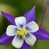 Jacque Forrester's photo