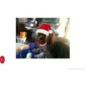 Kathy Herrington's photo