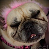 Josie Schaeffer's photo