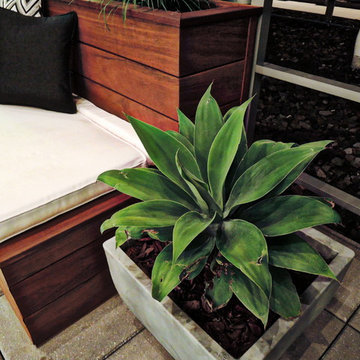 201 Marin - Rooftop Garden